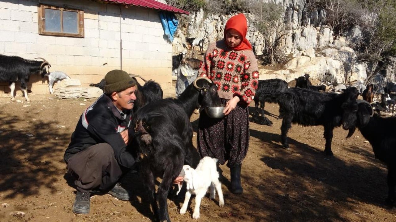 Foto - Üniversiteli yörük kızı babasının yolunda