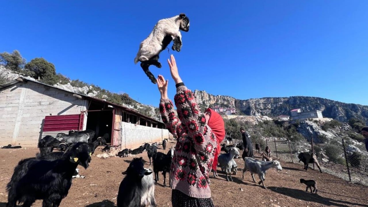 Üniversiteli yörük kızı babasının yolunda