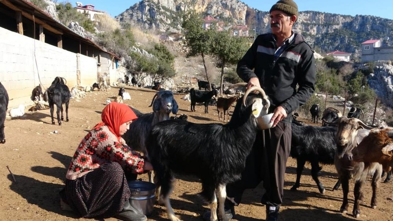 Foto - Üniversiteli yörük kızı babasının yolunda