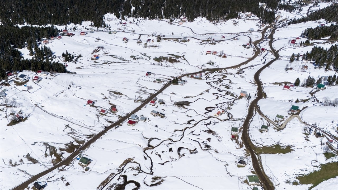 Foto - Ünlü mavi yıldız çiçekleri nisan karı altında kaldı