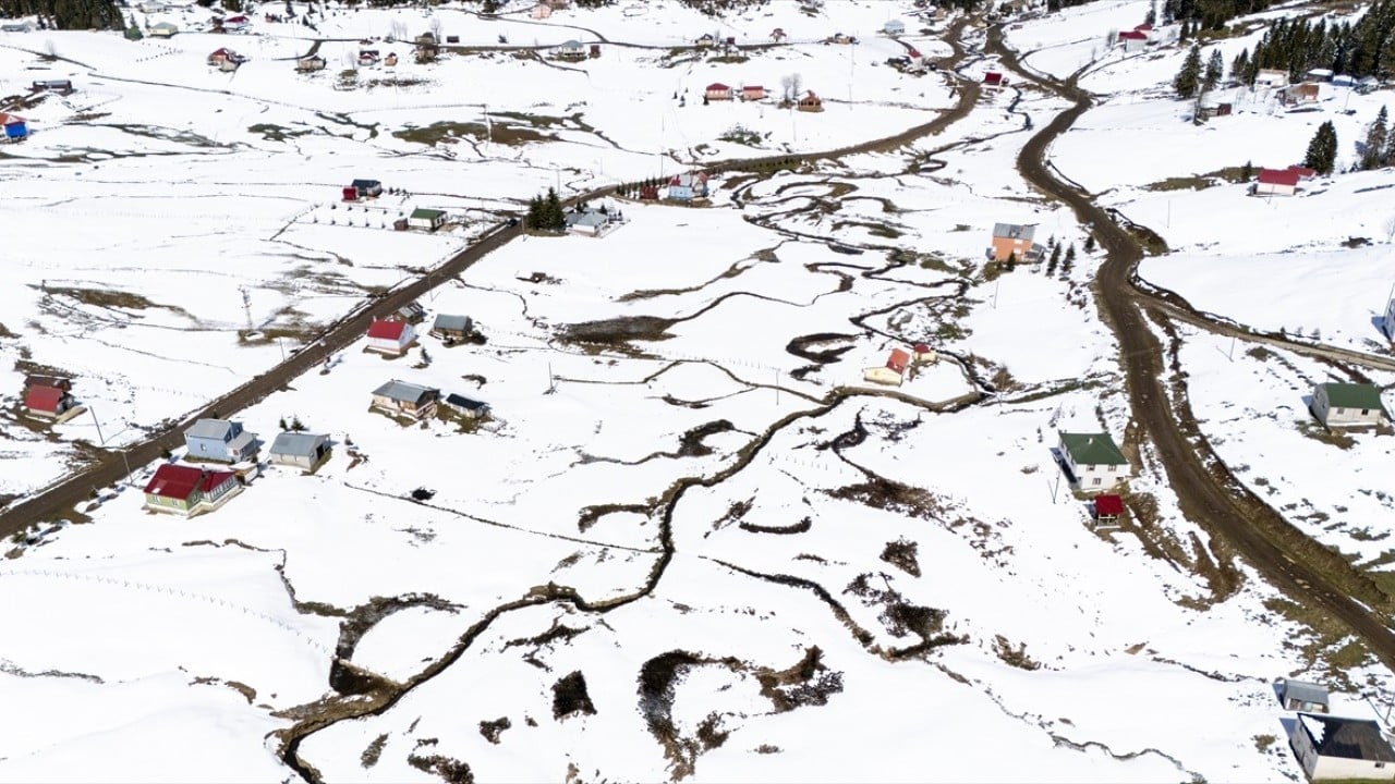Foto - Ünlü mavi yıldız çiçekleri nisan karı altında kaldı