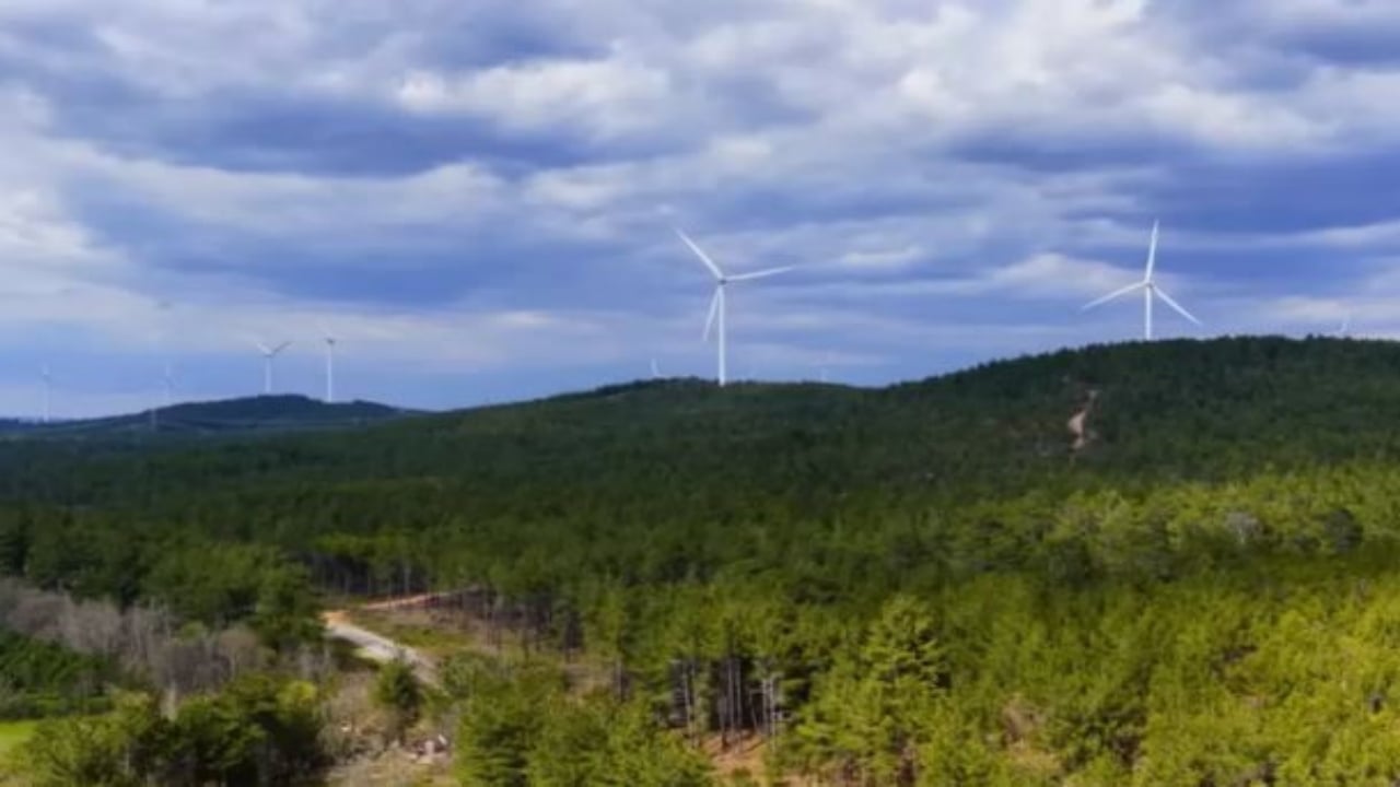 Foto - Ünlü oyuncu, her şeyi elinin tersiyle itip köye yerleşti: Ne elektrik var ne de telefon