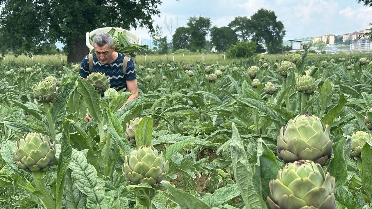 Foto - Üretici toprağını korumaya çalışıyor! Milyonluk konutların arasında kaldılar