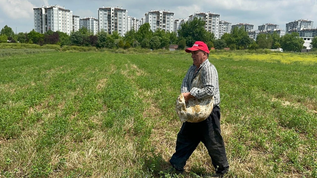 Üretici toprağını korumaya çalışıyor! Milyonluk konutların arasında kaldılar