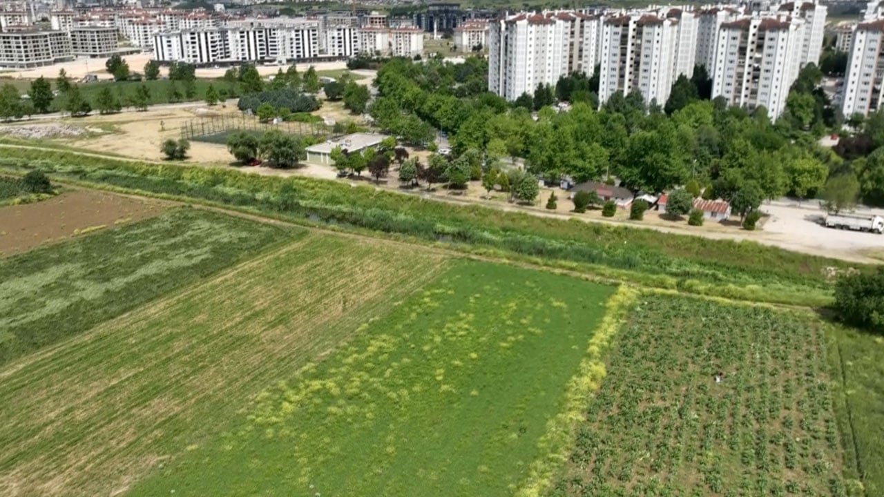 Foto - Üretici toprağını korumaya çalışıyor! Milyonluk konutların arasında kaldılar