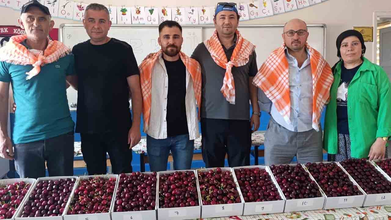 Üreticiler kıyasıya mücadele etti: Kirazın kalbi Gördes’te attı