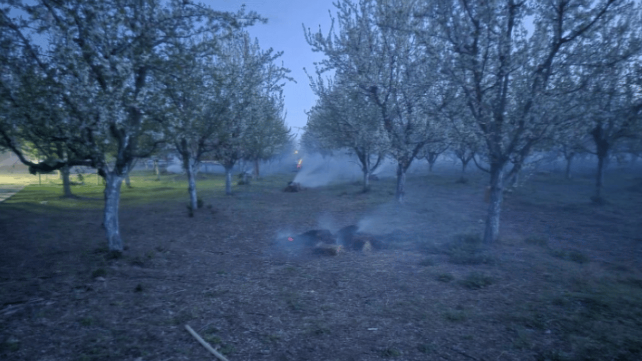 Üreticiler mesai üstüne mesai yapıyor! Gece yarısından sabaha kadar nöbet tutuluyor