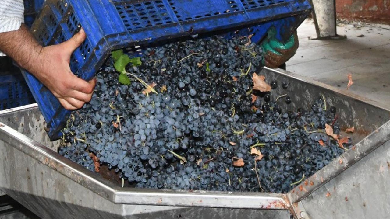 Foto - Üreticiler taleplere yetişemiyor! Avrupa Tekirdağ’ın üzüm suyuna hayran kaldı