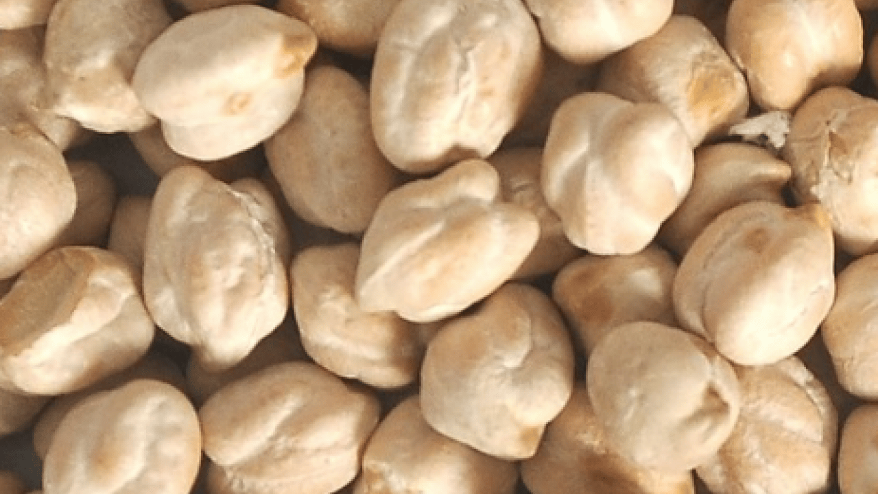 Foto - Üreticiye müjdeli haber: Yüksek sıcaklığa dayanabiliyor!