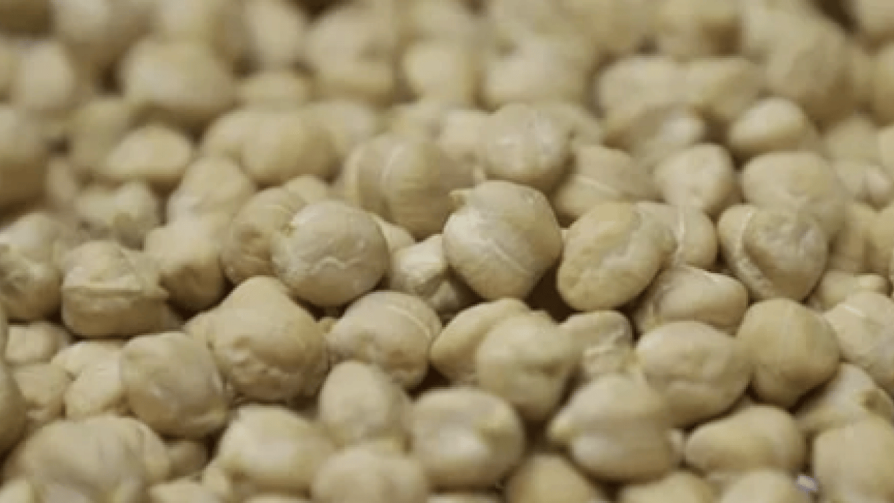 Üreticiye müjdeli haber: Yüksek sıcaklığa dayanabiliyor!