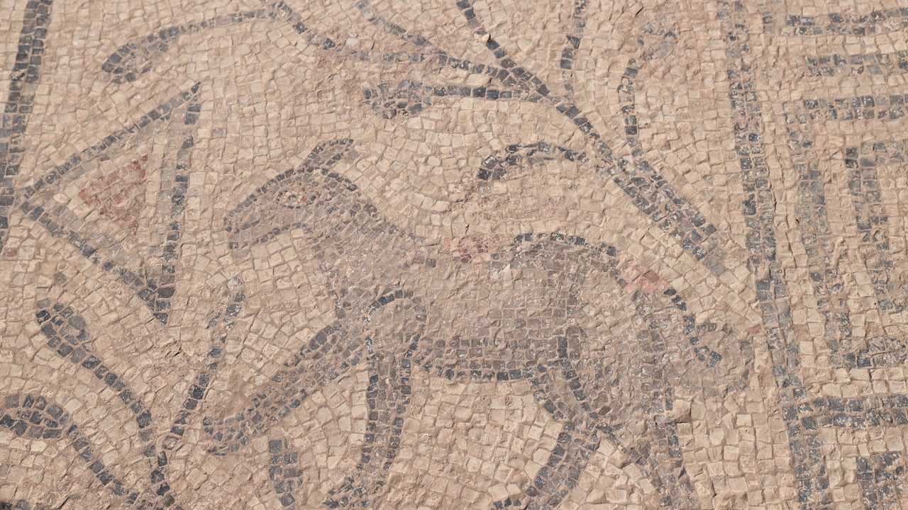 Foto - Urfa Kalesi’nde gizli tarih! 1500 yıllık mozaik sırlarıyla ortaya çıktı