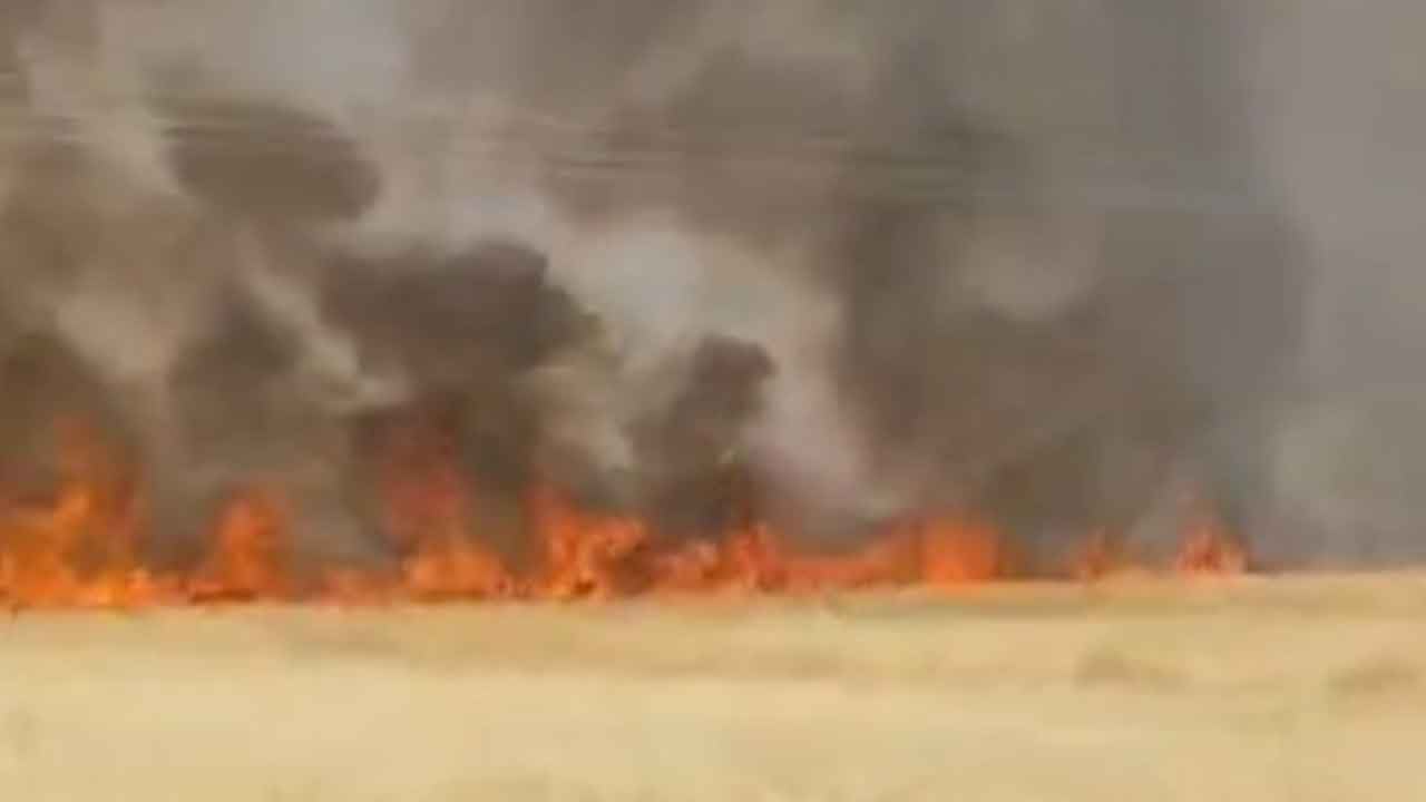 Foto - Urfa'dan da kötü haber geldi