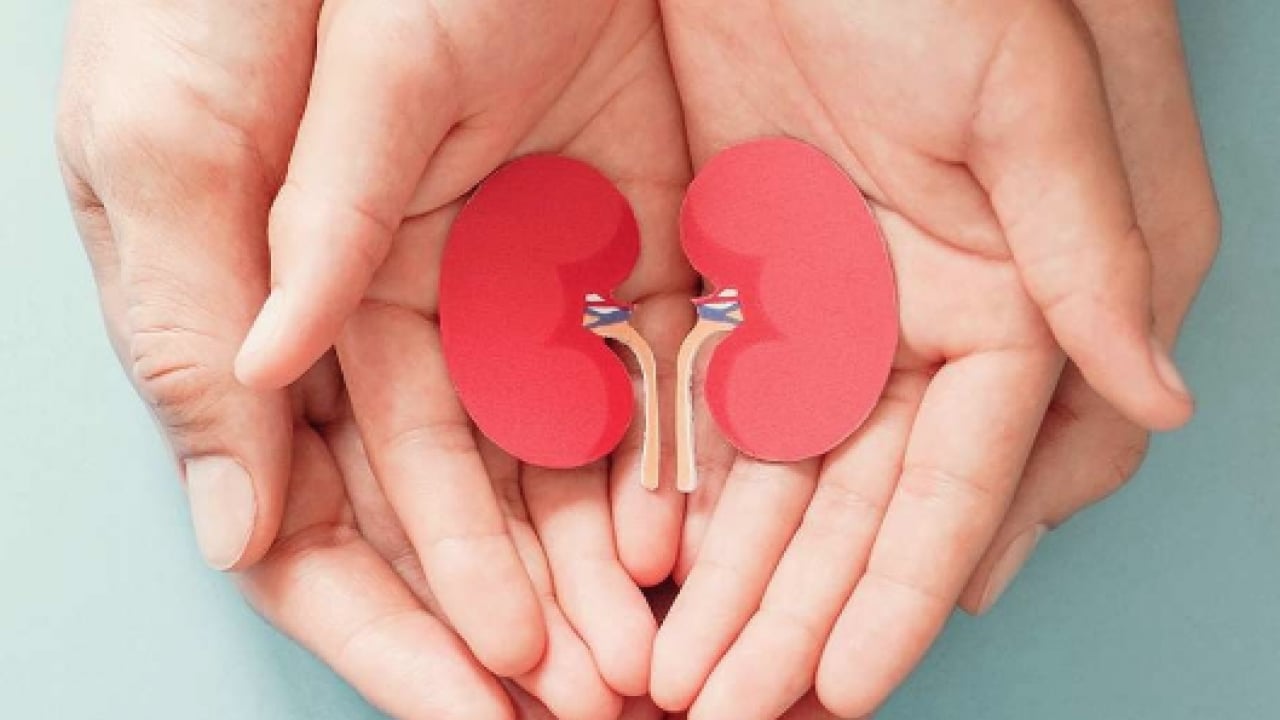 Foto - Üroloji Uzmanı doktor net konuştu: Taş hastalığı böbrek kaybına yol açıyor alarmı...