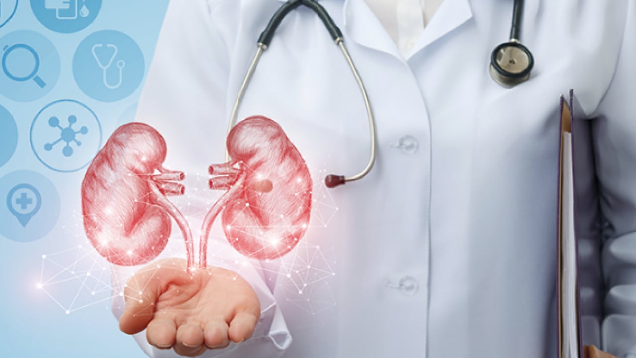 Foto - Üroloji Uzmanı doktor net konuştu: Taş hastalığı böbrek kaybına yol açıyor alarmı...