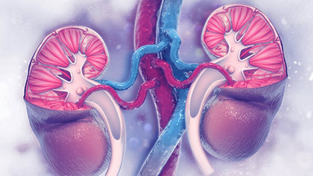 Foto - Üroloji Uzmanı doktor net konuştu: Taş hastalığı böbrek kaybına yol açıyor alarmı...