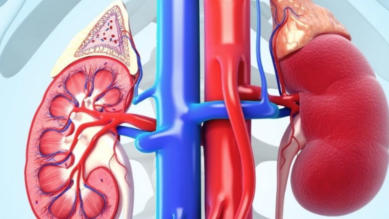 Foto - Üroloji Uzmanı doktor net konuştu: Taş hastalığı böbrek kaybına yol açıyor alarmı...
