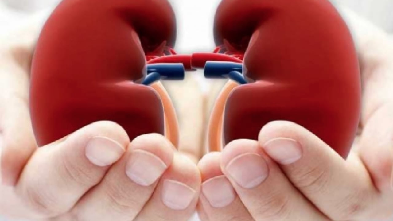 Üroloji Uzmanı doktor net konuştu: Taş hastalığı böbrek kaybına yol açıyor alarmı...