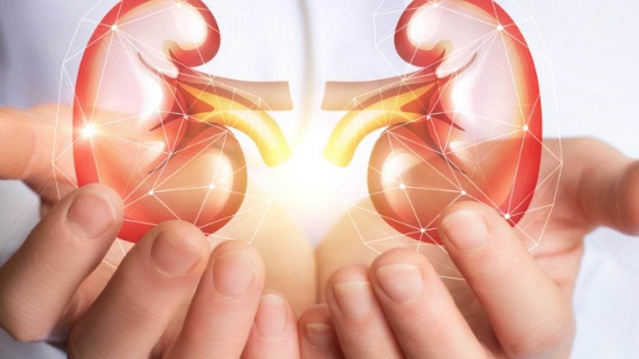 Foto - Üroloji Uzmanı doktor net konuştu: Taş hastalığı böbrek kaybına yol açıyor alarmı...