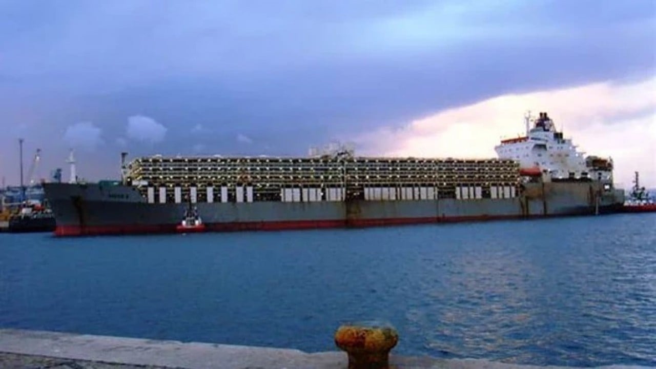 Foto - Uruguay Türkiye'yi kandırmaya kalktı! Ankara geminin girişine izin vermedi, ölüm haberleri geliyor