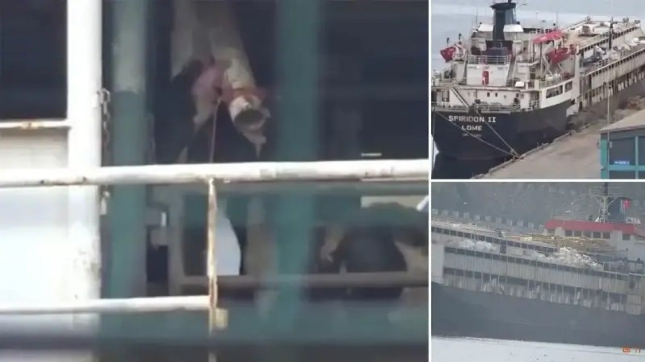 Foto - Uruguay Türkiye'yi kandırmaya kalktı! Ankara geminin girişine izin vermedi, ölüm haberleri geliyor