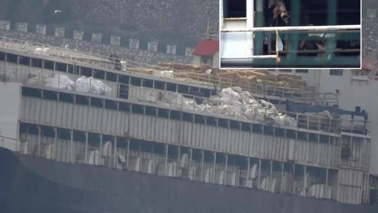 Foto - Uruguay Türkiye'yi kandırmaya kalktı! Ankara geminin girişine izin vermedi, ölüm haberleri geliyor