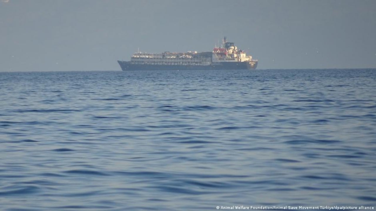 Foto - Uruguay Türkiye'yi kandırmaya kalktı! Ankara geminin girişine izin vermedi, ölüm haberleri geliyor