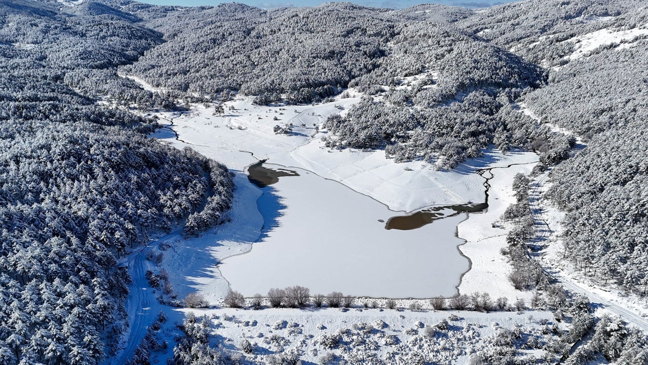 Uşak'ta kış masalı! Dondurucu gece sonrası manzara değişti