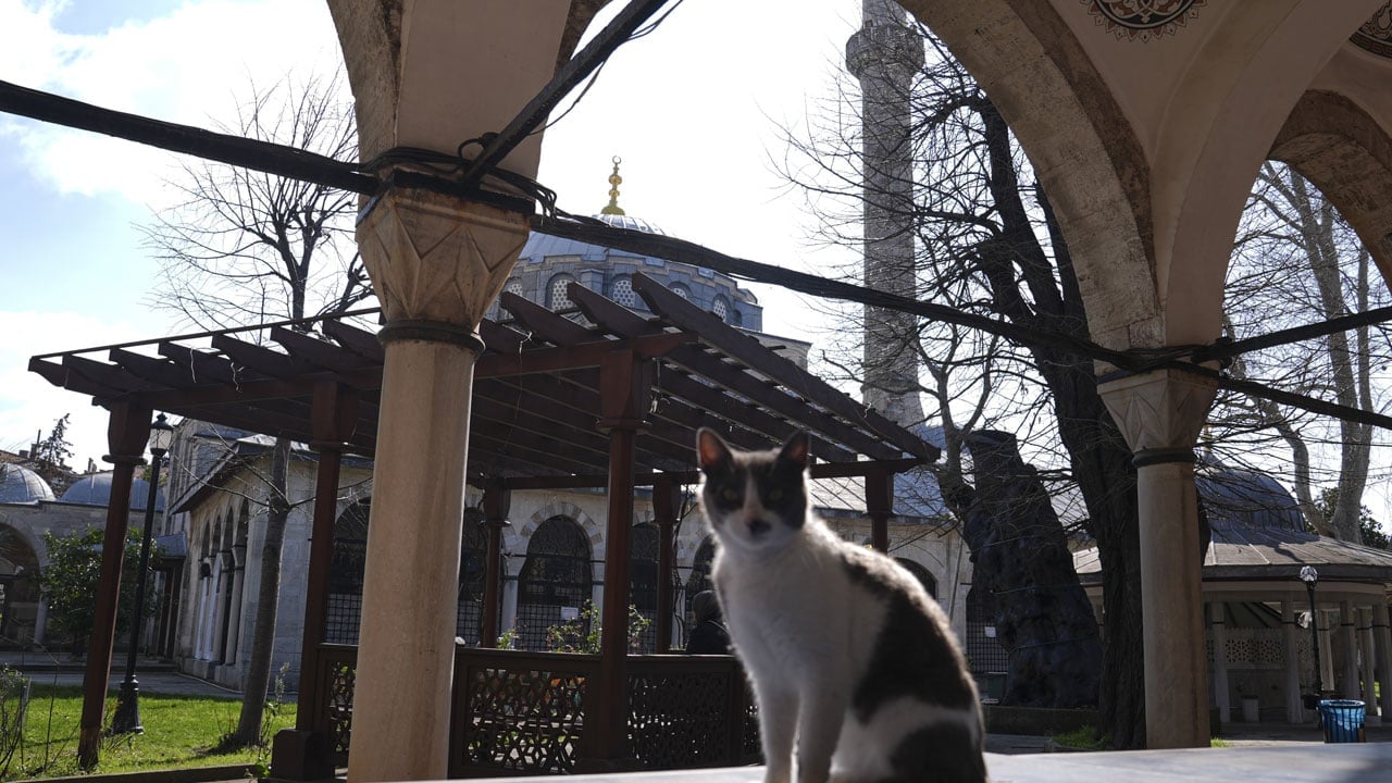 Foto - Üsküdar’ın kalbinde 400 yıllık miras… Mimar Sinan’ın ustalık imzasını taşıyor