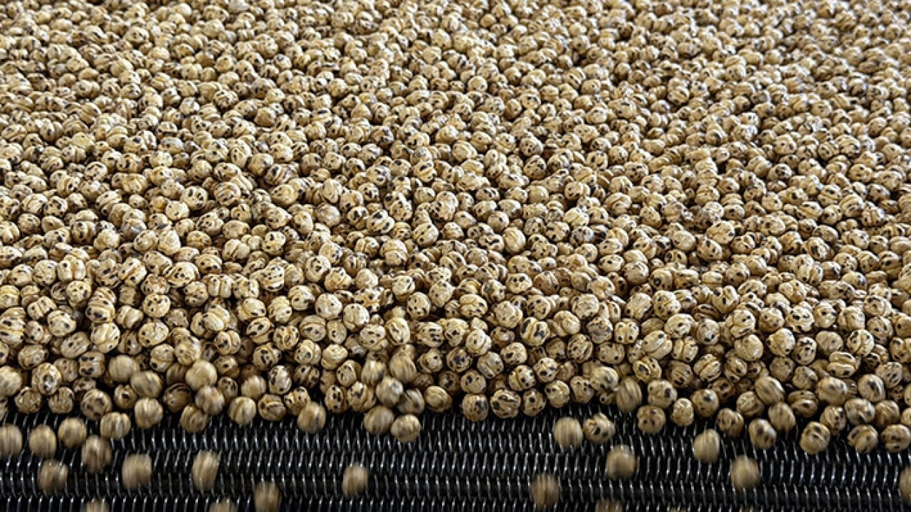 Foto - Usta ellerde kavrulunca değerini buluyor