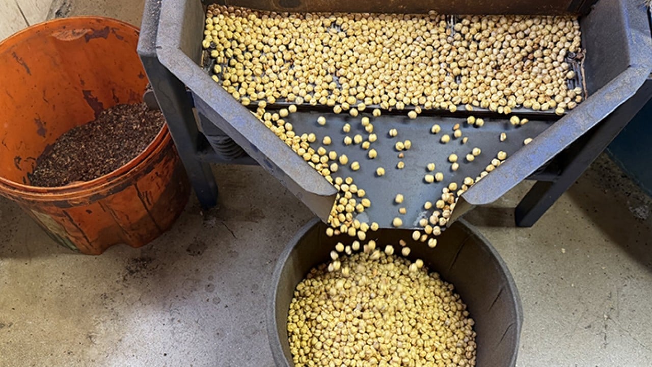 Foto - Usta ellerde kavrulunca değerini buluyor