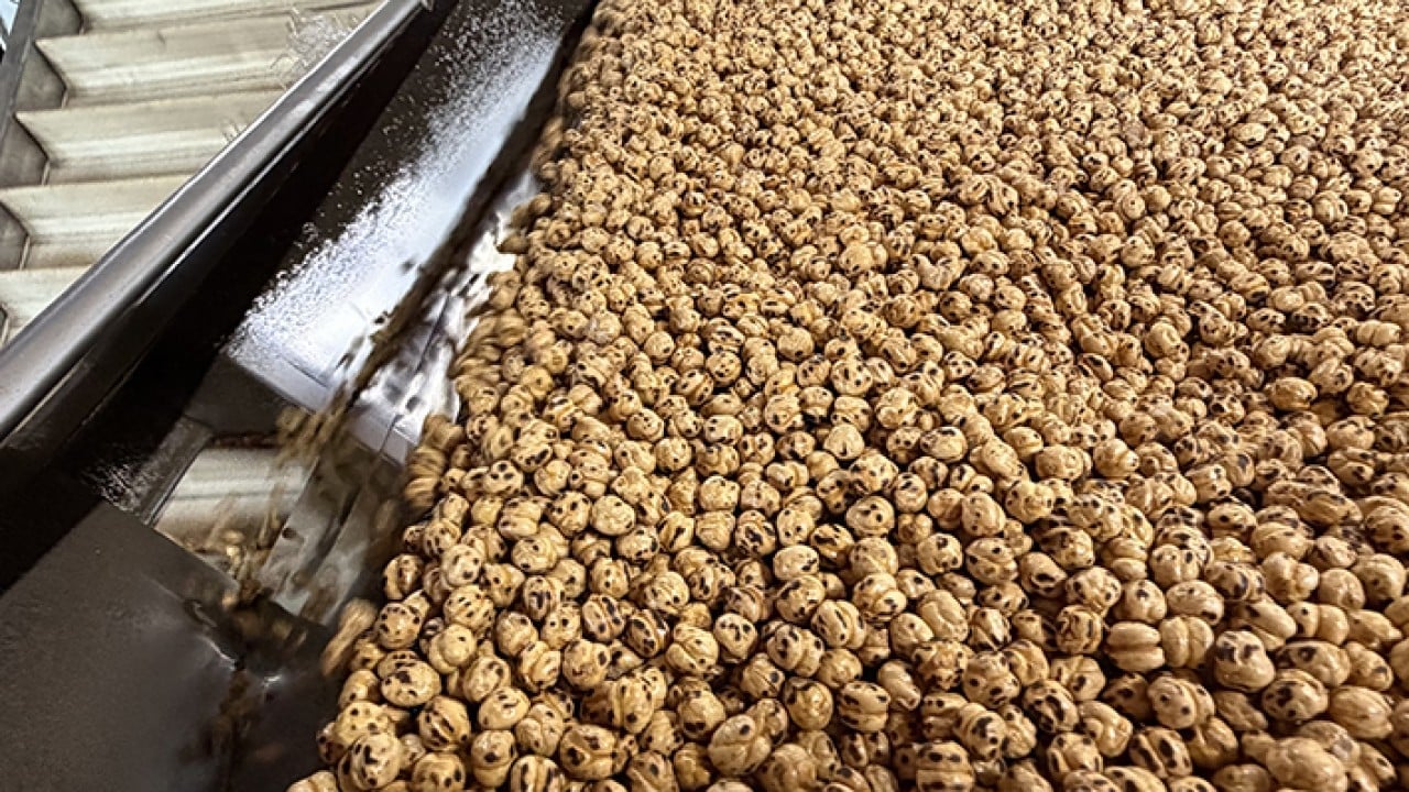 Foto - Usta ellerde kavrulunca değerini buluyor