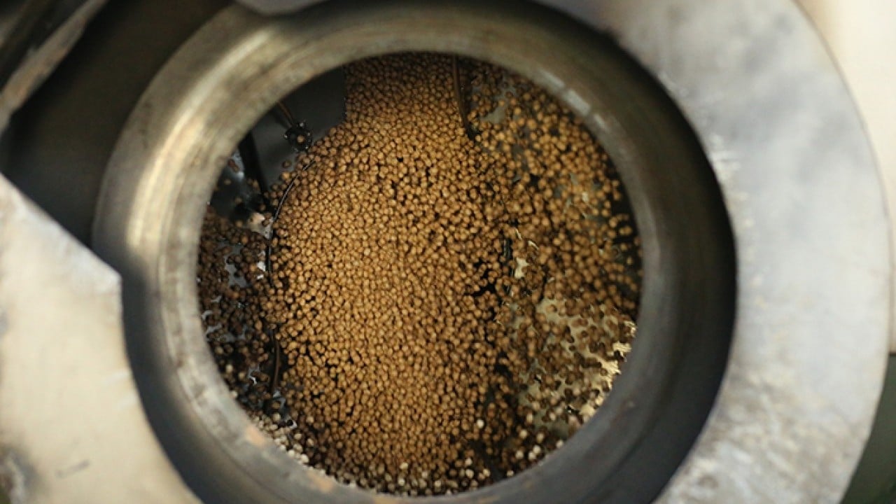 Foto - Usta ellerde kavrulunca değerini buluyor