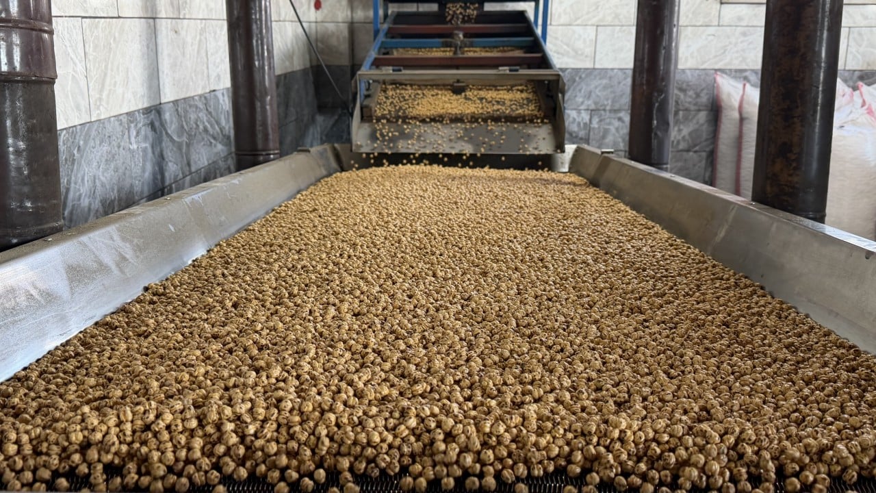 Foto - Usta ellerde kavrulunca değerini buluyor