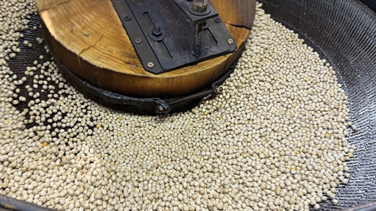 Foto - Usta ellerde kavrulunca değerini buluyor