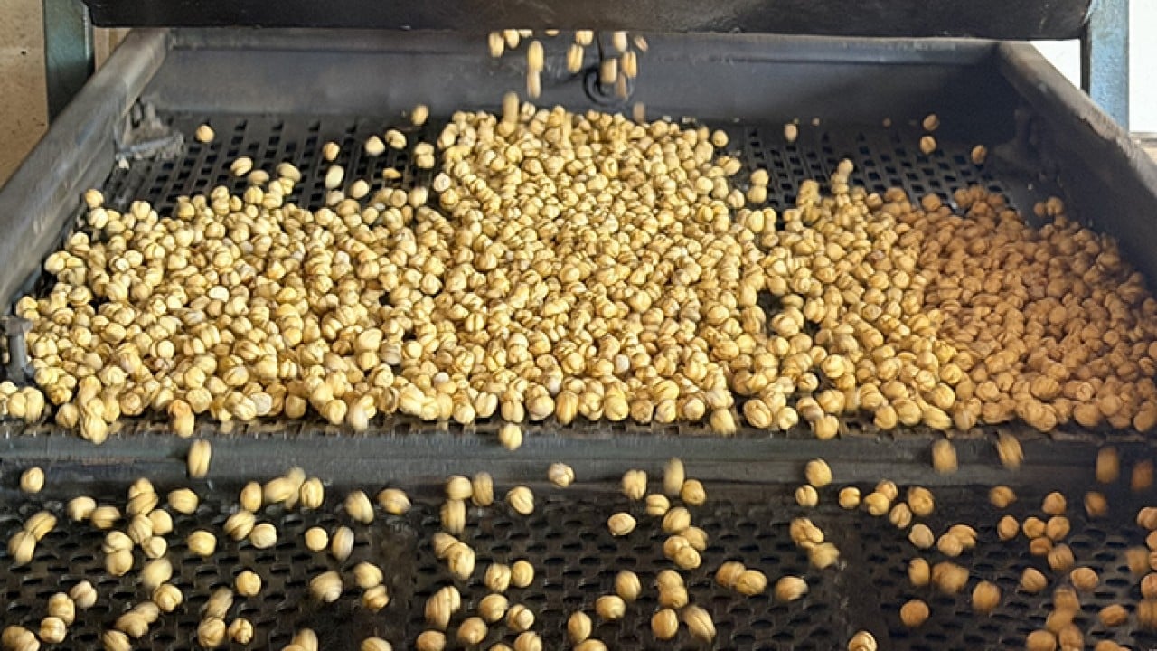 Foto - Usta ellerde kavrulunca değerini buluyor