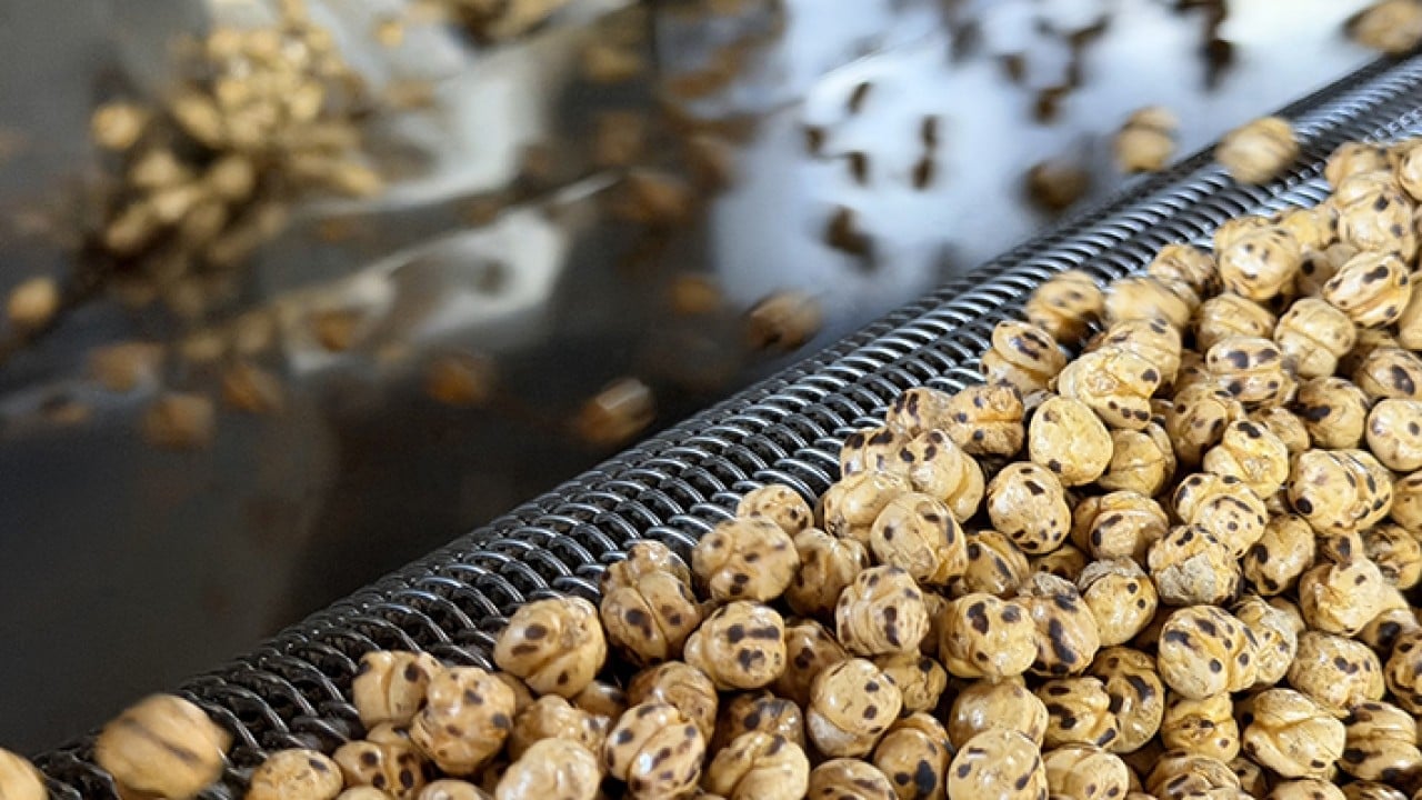 Foto - Usta ellerde kavrulunca değerini buluyor