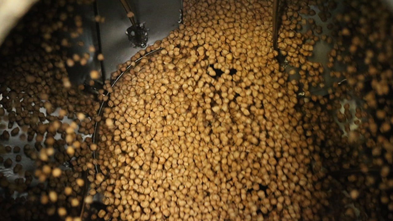 Foto - Usta ellerde kavrulunca değerini buluyor