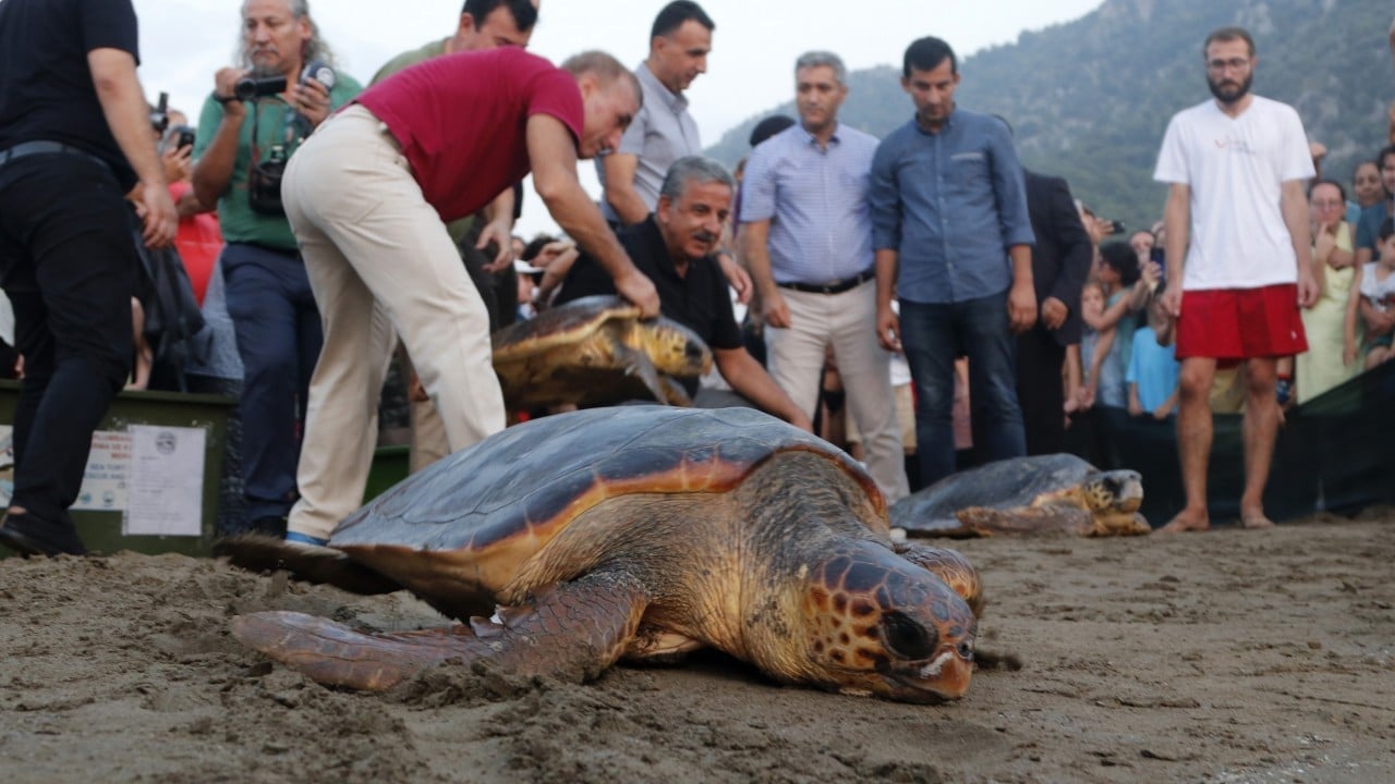 Foto - Uydu cihazıyla takip ediliyorlar Antalya’dan çıkıp dünyayı dolaştılar