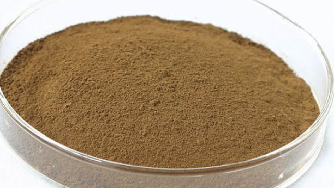 Foto - Uyku sorunu: Zeytin yaprağı deyip geçmeyin! 21 gün sonrası ara verip için! Başka ürünü alıp para vermeyin