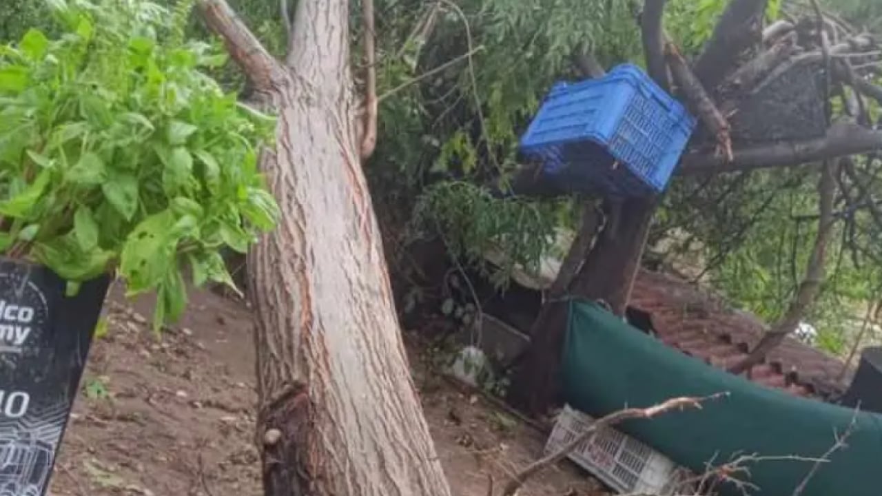 Foto - Üzerinden fil sürüsü geçmiş gibi! Antalya'da bilanço ortaya çıktı!