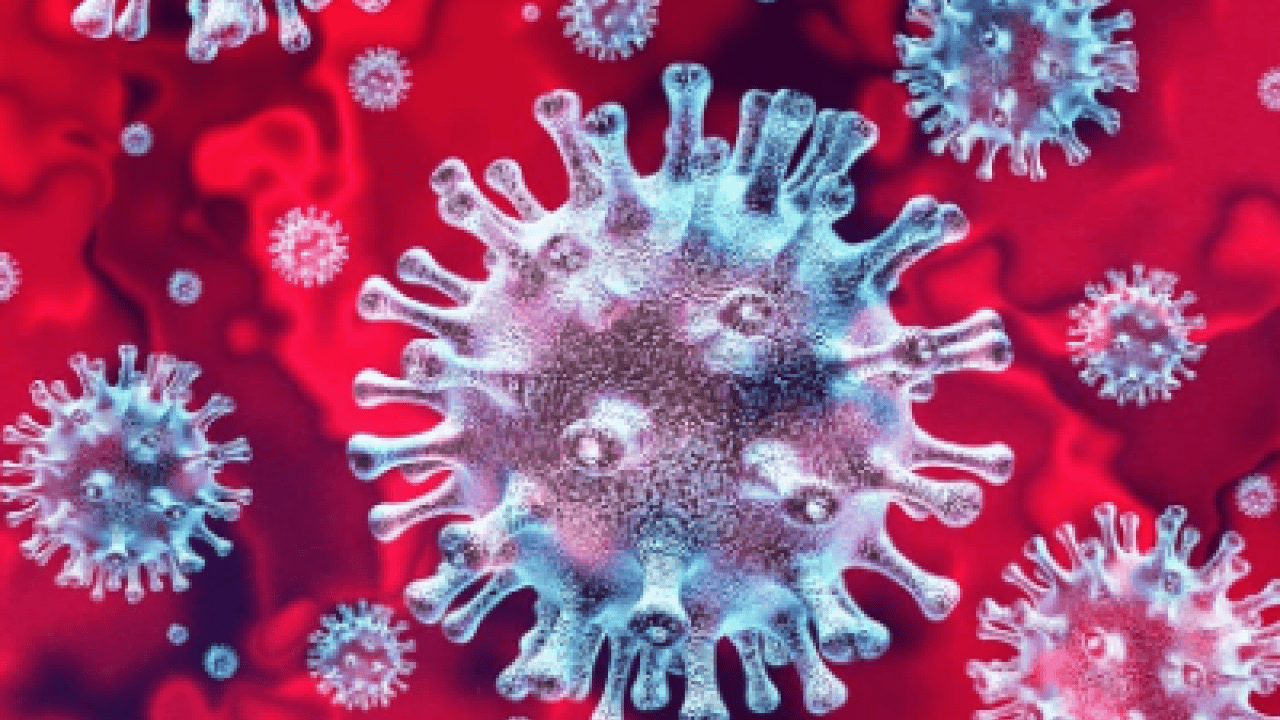 Foto - Uzman hekim açıkladı: Kolonoskopi için belirtileri beklemeyin: Kolon kanseri artık...