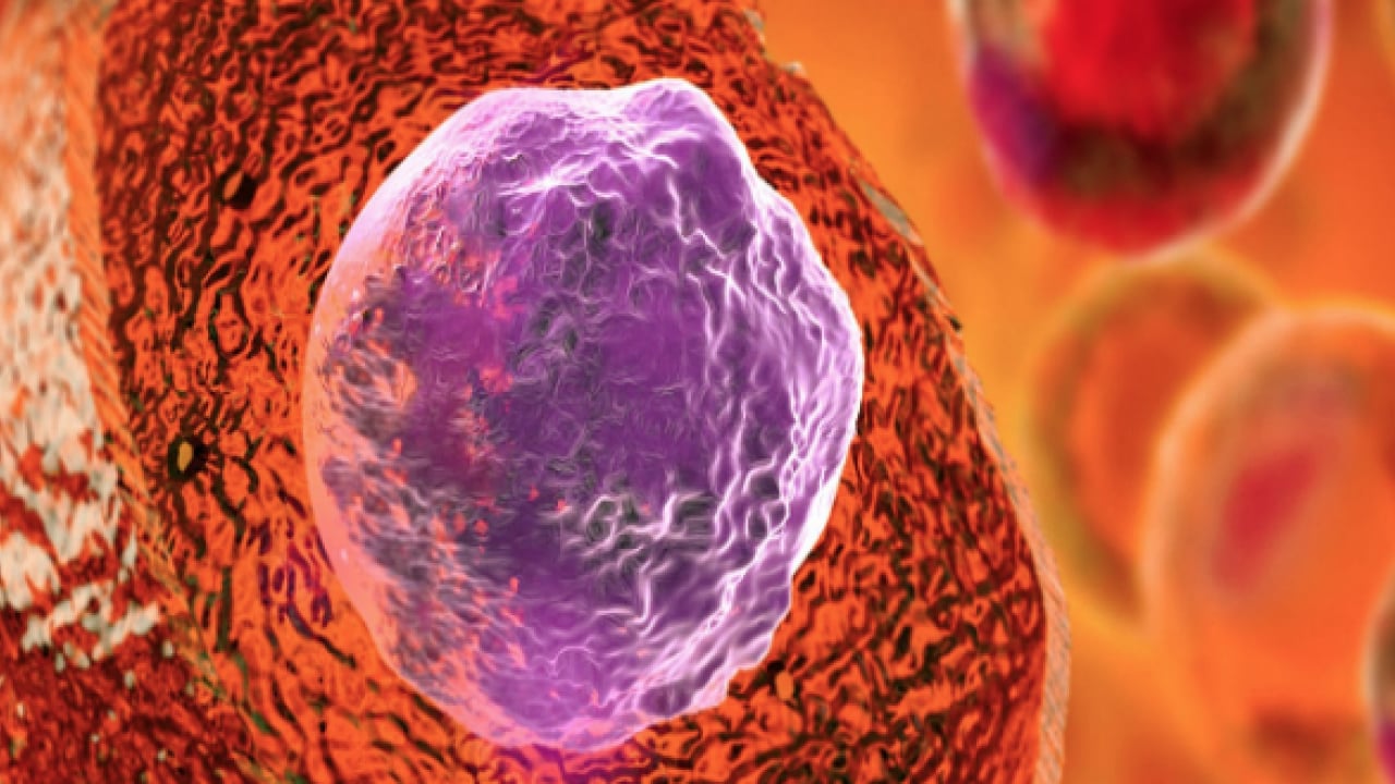 Foto - Uzman hekimden 'Açlığı taklit eden diyetle hücresel yenilenme mümkün olabilir' ilanı...