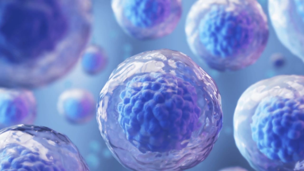 Foto - Uzman hekimden 'Açlığı taklit eden diyetle hücresel yenilenme mümkün olabilir' ilanı...