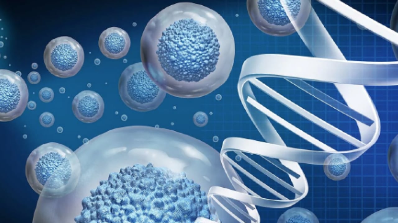 Foto - Uzman hekimden 'Açlığı taklit eden diyetle hücresel yenilenme mümkün olabilir' ilanı...