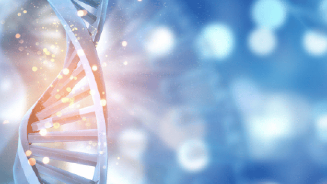 Foto - Uzman hekimden 'Açlığı taklit eden diyetle hücresel yenilenme mümkün olabilir' ilanı...