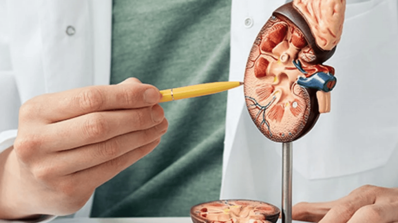 Foto - Uzman isim açıkladı: Doğru beslenme ile böbrek taşı riskini azaltmak mümkün