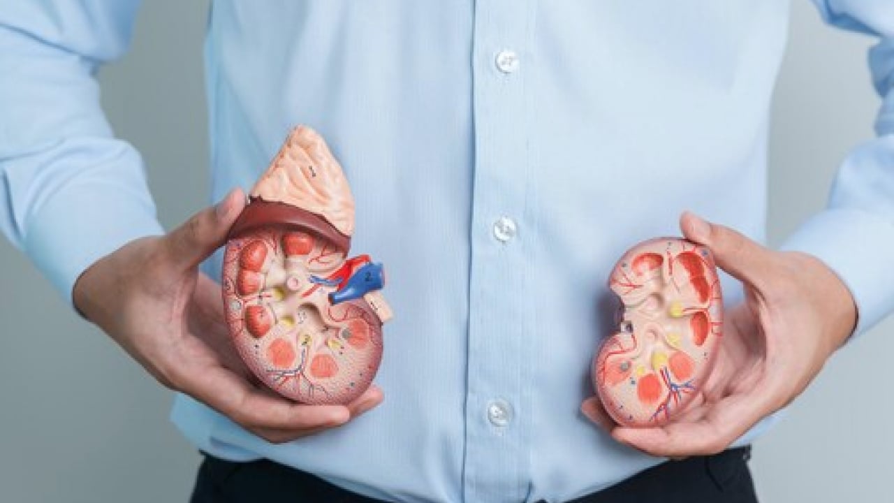 Foto - Uzman isim açıkladı: Doğru beslenme ile böbrek taşı riskini azaltmak mümkün