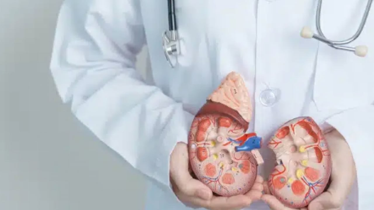 Foto - Uzman isim açıkladı: Doğru beslenme ile böbrek taşı riskini azaltmak mümkün