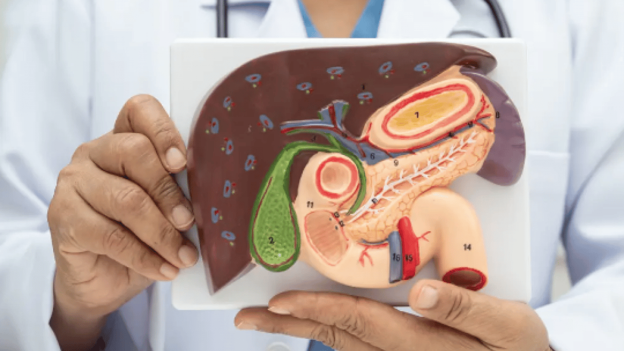 Foto - Uzman isim korkunç haberi verdi: 2050'ye kadar 2 milyar kişi karaciğer hastası olabilir! 