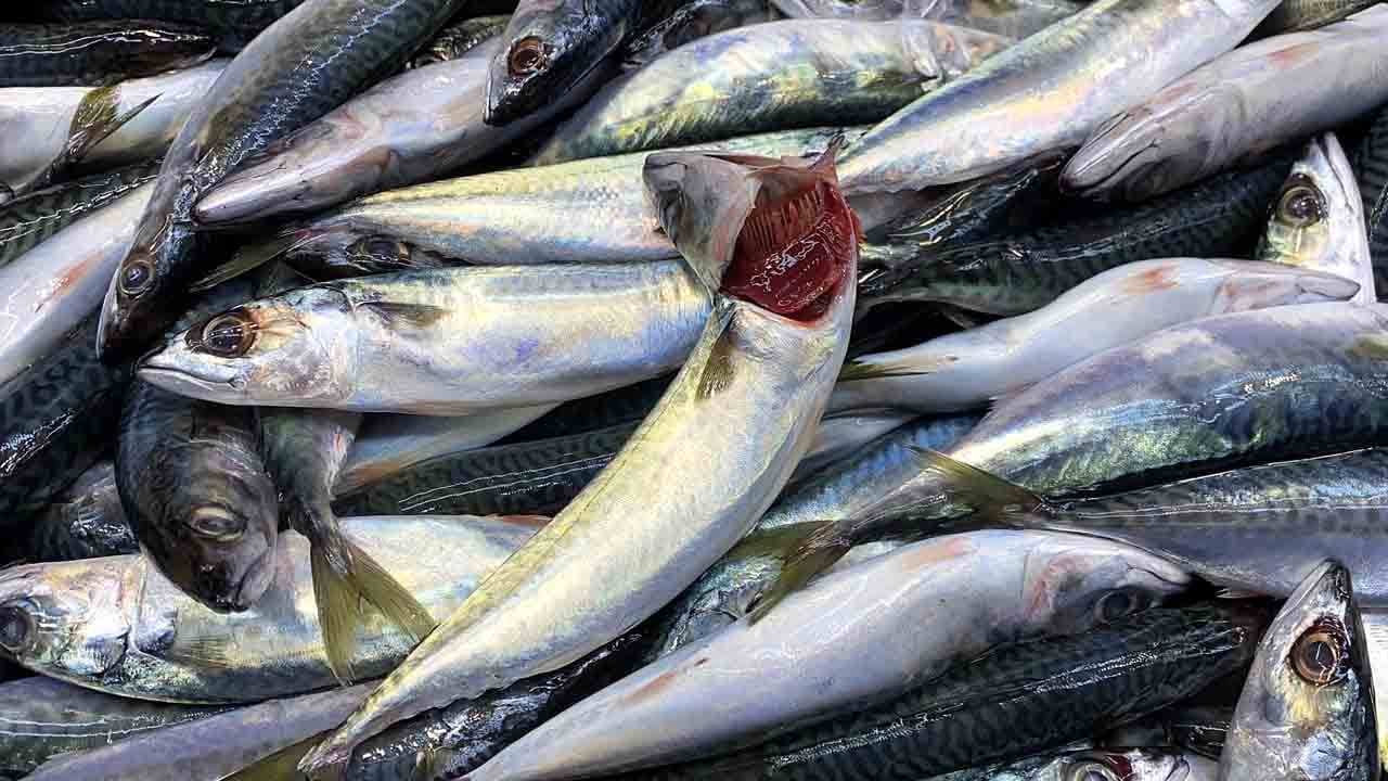 Foto - Uzman isim püf noktalarını paylaştı: Balık seçiminde doğru bilinen yanlış